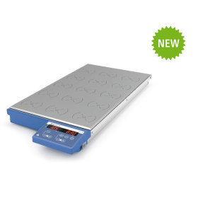 RT 15 多点磁力搅拌器 9090图片